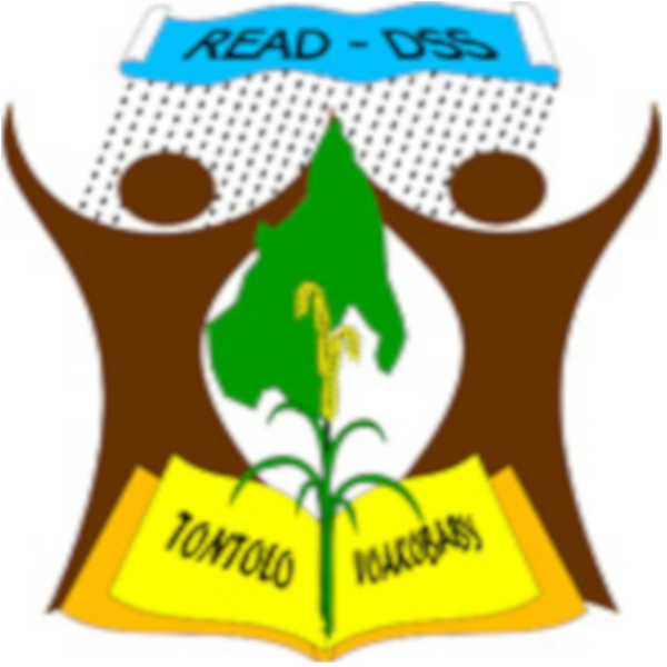 Read DSS logo