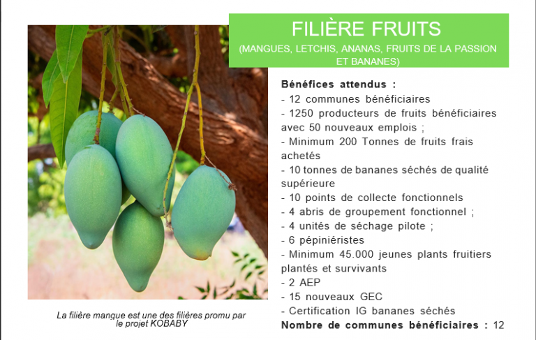filière fruits